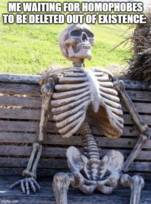 Waiting Skeleton | ME WAITING FOR HOMOPHOBES TO BE DELETED OUT OF EXISTENCE: | image tagged in memes,waiting skeleton | made w/ Imgflip meme maker