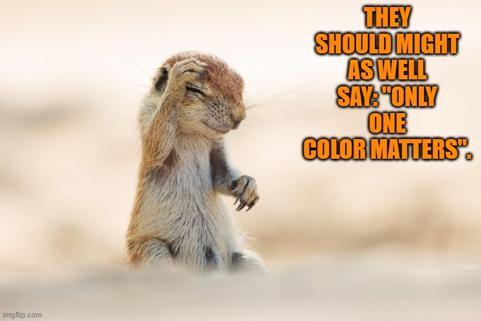 SMH Critter | THEY SHOULD MIGHT AS WELL SAY: "ONLY ONE COLOR MATTERS". | image tagged in smh critter | made w/ Imgflip meme maker