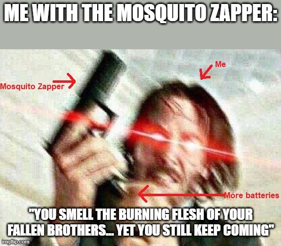 John Wick Mosquito Zapper | image tagged in mosquito,mosquitoes,mosquito attack,john wick | made w/ Imgflip meme maker