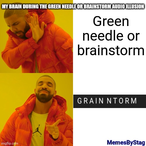 Yeah it do be like that sometimes | Green needle or brainstorm; MY BRAIN DURING THE GREEN NEEDLE OR BRAINSTORM AUDIO ILLUSION; MemesByStag | image tagged in memes,drake hotline bling,g r a i n  n t o r m,memesbystag | made w/ Imgflip meme maker
