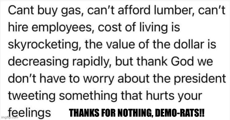 Democratic Party | THANKS FOR NOTHING, DEMO-RATS!! | image tagged in joe biden,democrats,liberal logic,memes,democratic party | made w/ Imgflip meme maker