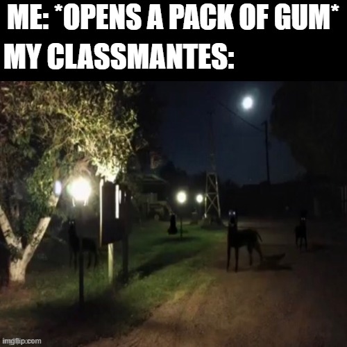 ME: *OPENS A PACK OF GUM*; MY CLASSMANTES: | image tagged in memes,gum,class,classmate,school | made w/ Imgflip meme maker