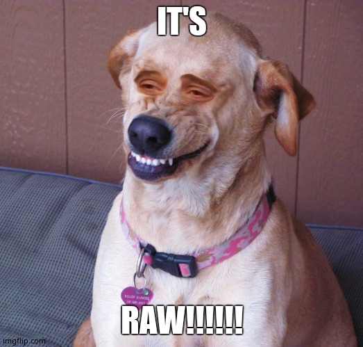 Dog smile | IT'S RAW!!!!!! | image tagged in dog smile | made w/ Imgflip meme maker