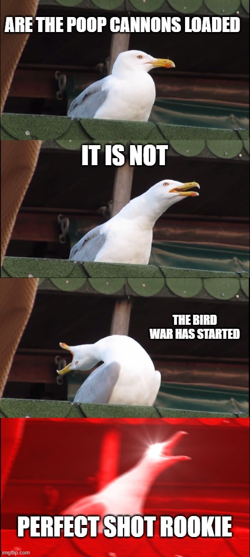 Inhaling Seagull | ARE THE POOP CANNONS LOADED; IT IS NOT; THE BIRD WAR HAS STARTED; PERFECT SHOT ROOKIE | image tagged in memes,inhaling seagull | made w/ Imgflip meme maker
