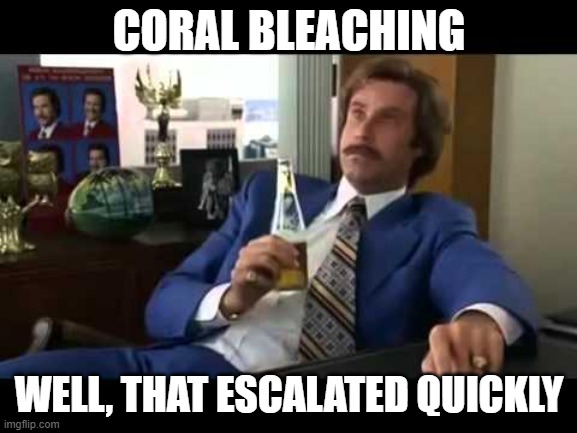 Coral bleachiing |  CORAL BLEACHING; WELL, THAT ESCALATED QUICKLY | image tagged in memes,well that escalated quickly | made w/ Imgflip meme maker