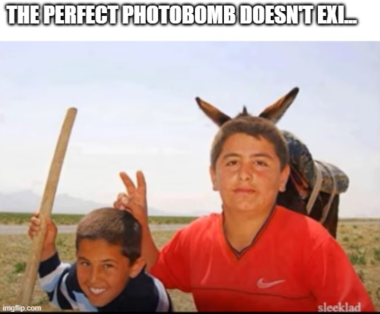 who's the donkey now? | THE PERFECT PHOTOBOMB DOESN'T EXI... | image tagged in donkey photobombs kid | made w/ Imgflip meme maker