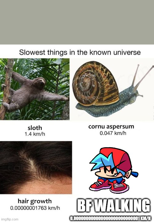 Slowest things | BF WALKING; 0.000000000000000000000000001 KM/H | image tagged in slowest things | made w/ Imgflip meme maker