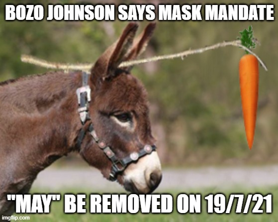 carrot on a stick | BOZO JOHNSON SAYS MASK MANDATE; "MAY" BE REMOVED ON 19/7/21 | image tagged in carrot on a stick | made w/ Imgflip meme maker