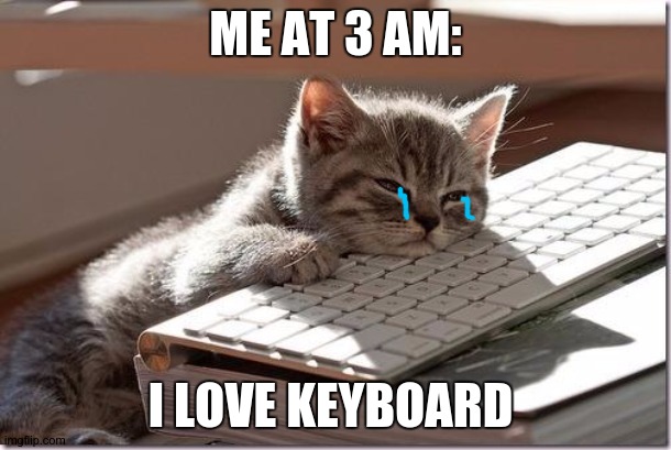 dO yOu ThiNK i nEEd sLEeP i tHInk i NEed SLeeP | ME AT 3 AM:; I LOVE KEYBOARD | image tagged in bored keyboard cat | made w/ Imgflip meme maker