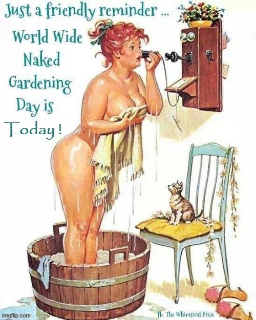 World Wide Naked Gardening Day | image tagged in send nudes | made w/ Imgflip meme maker