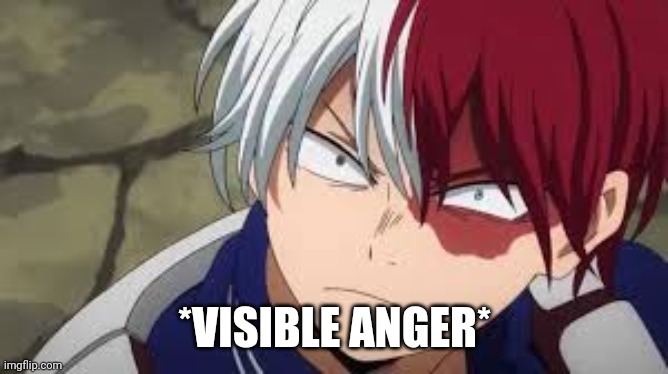 Angry todoroki | *VISIBLE ANGER* | image tagged in angry todoroki | made w/ Imgflip meme maker