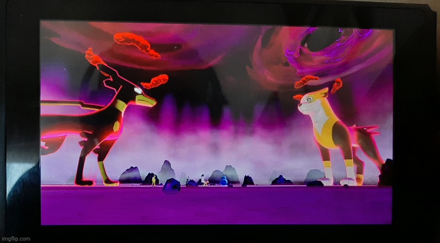 Doggos | made w/ Imgflip meme maker