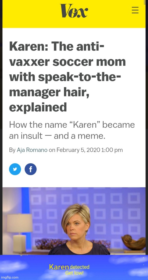 I use this template made by me again lol | Karen | image tagged in bitch detected get low | made w/ Imgflip meme maker