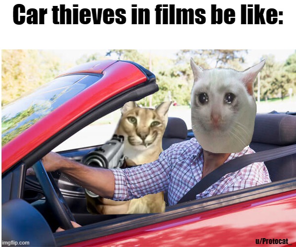 Cat thief in car |  Car thieves in films be like:; u/Protocat_ | image tagged in cats,meme | made w/ Imgflip meme maker