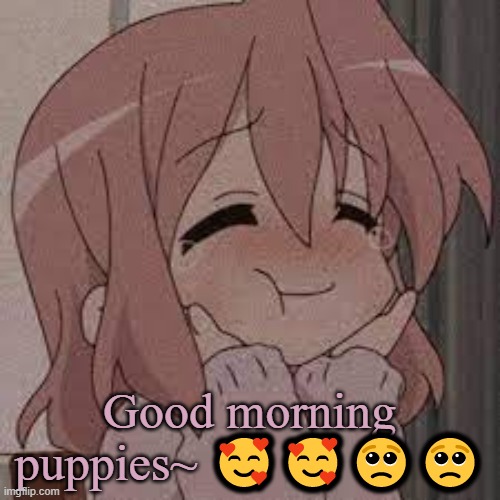 I love you guys~ | Good morning puppies~ 🥰🥰🥺🥺 | image tagged in coot | made w/ Imgflip meme maker