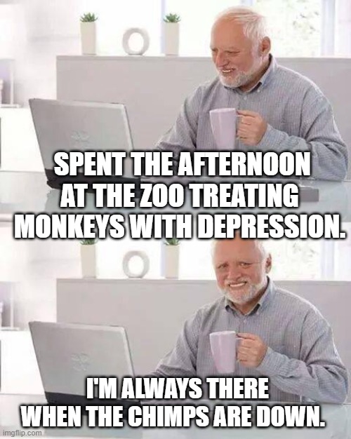 Hide the Pain Harold Meme | SPENT THE AFTERNOON AT THE ZOO TREATING MONKEYS WITH DEPRESSION. I'M ALWAYS THERE WHEN THE CHIMPS ARE DOWN. | image tagged in memes,hide the pain harold | made w/ Imgflip meme maker