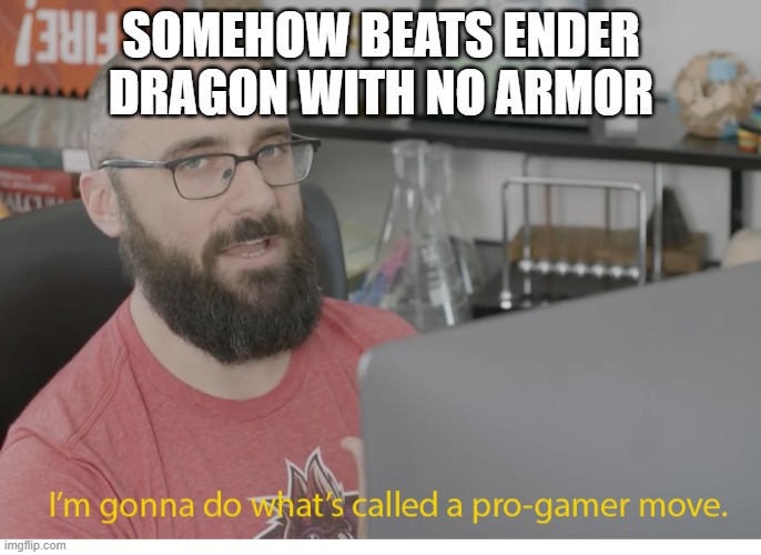I'm gonna do what's called a pro-gamer move. | SOMEHOW BEATS ENDER DRAGON WITH NO ARMOR | image tagged in i'm gonna do what's called a pro-gamer move | made w/ Imgflip meme maker