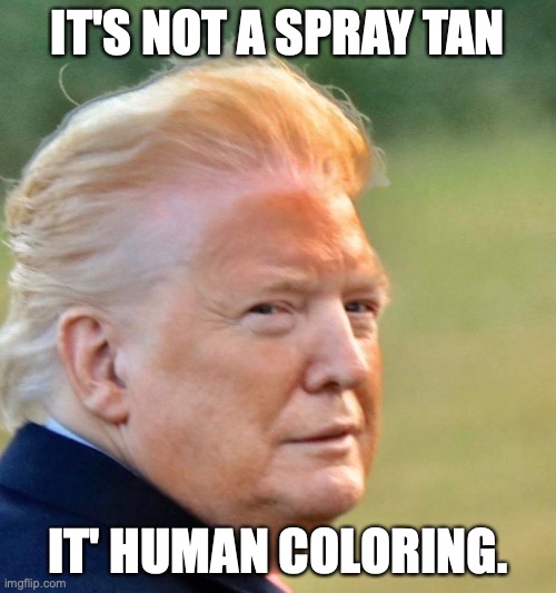 Trump tan | IT'S NOT A SPRAY TAN; IT' HUMAN COLORING. | image tagged in trump tan | made w/ Imgflip meme maker