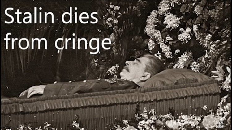 Stalin dies from cringe | image tagged in stalin dies from cringe | made w/ Imgflip meme maker