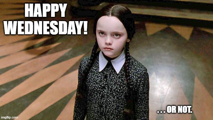 Happy Wednesday | HAPPY WEDNESDAY! . . . OR NOT. | image tagged in funny,happy | made w/ Imgflip meme maker