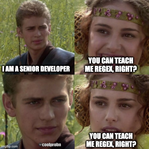 No one knows regex | YOU CAN TEACH ME REGEX, RIGHT? I AM A SENIOR DEVELOPER; YOU CAN TEACH ME REGEX, RIGHT? @coolprobn | image tagged in for the better right | made w/ Imgflip meme maker
