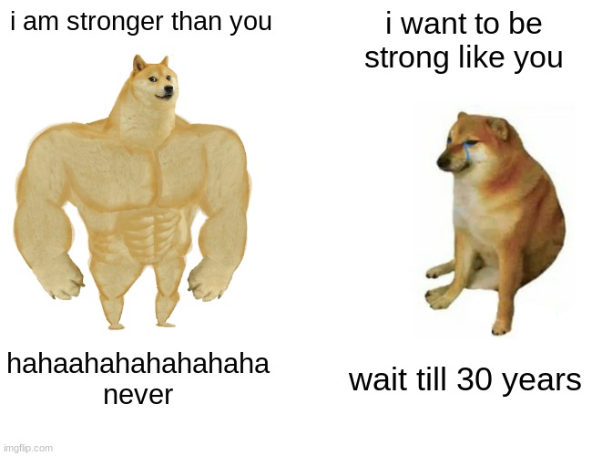 Buff Doge vs. Cheems Meme | i am stronger than you; i want to be strong like you; hahaahahahahahaha never; wait till 30 years | image tagged in memes,buff doge vs cheems | made w/ Imgflip meme maker