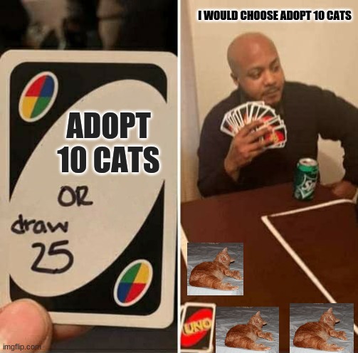 UNO Draw 25 Cards Meme | I WOULD CHOOSE ADOPT 10 CATS; ADOPT 10 CATS | image tagged in memes,uno draw 25 cards | made w/ Imgflip meme maker