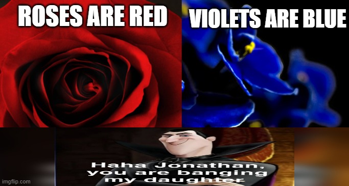 Roses are Red, Violets are Blue. | VIOLETS ARE BLUE; ROSES ARE RED | image tagged in roses are red violets are blue | made w/ Imgflip meme maker