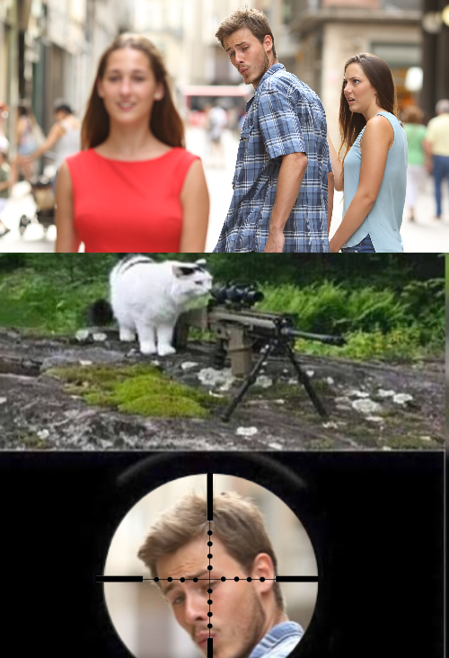 High Quality Cat Snipes Distracted Boyfriend Blank Meme Template