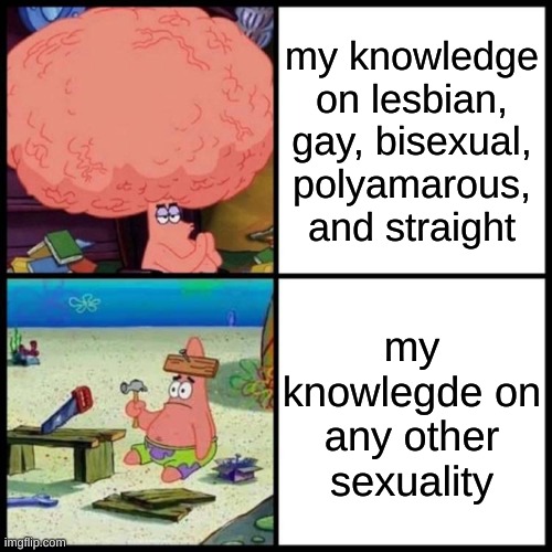 Patrick Big Brain vs small brain | my knowledge on lesbian, gay, bisexual, polyamarous, and straight; my knowlegde on any other sexuality | image tagged in patrick big brain vs small brain | made w/ Imgflip meme maker