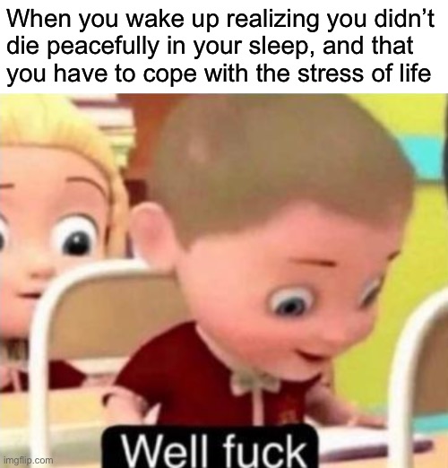 A sad truth |  When you wake up realizing you didn’t die peacefully in your sleep, and that 
you have to cope with the stress of life | image tagged in well f ck | made w/ Imgflip meme maker