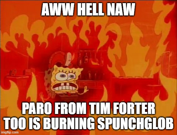 Burning Spongebob | AWW HELL NAW; PARO FROM TIM FORTER TOO IS BURNING SPUNCHGLOB | image tagged in burning spongebob | made w/ Imgflip meme maker