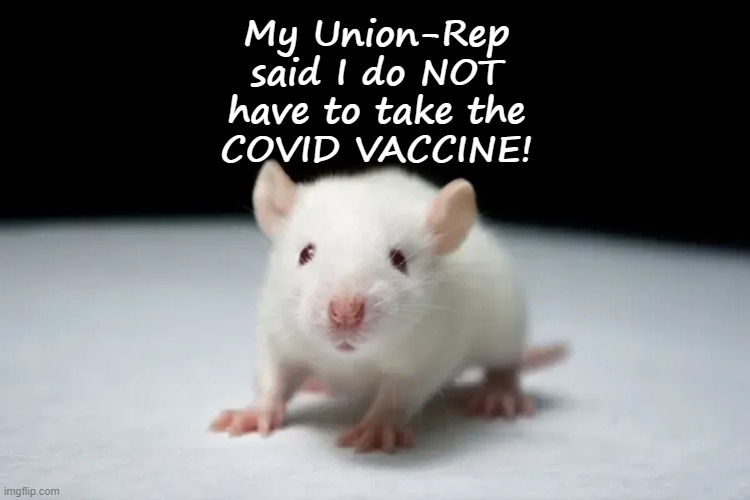 So take THAT! | My Union-Rep
said I do NOT
have to take the
COVID VACCINE! | image tagged in covid-19,covid,vaccine | made w/ Imgflip meme maker