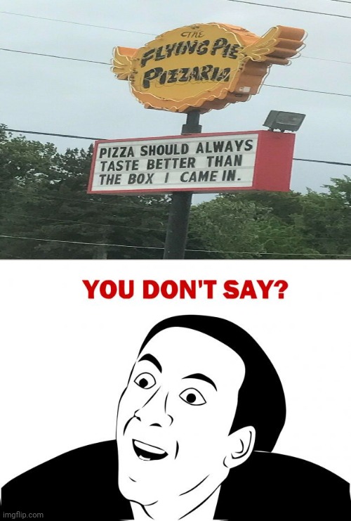 Flying Pie Pizzaria sign | image tagged in memes,you don't say,funny signs,pizza,funny,box | made w/ Imgflip meme maker