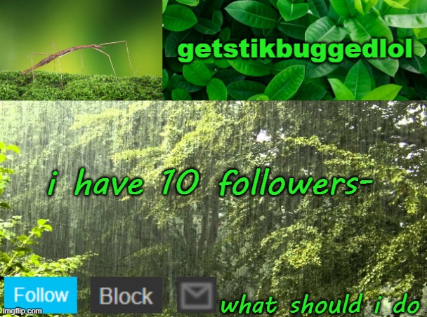e | i have 10 followers-; what should i do | image tagged in getstikbuggedlol announcement | made w/ Imgflip meme maker