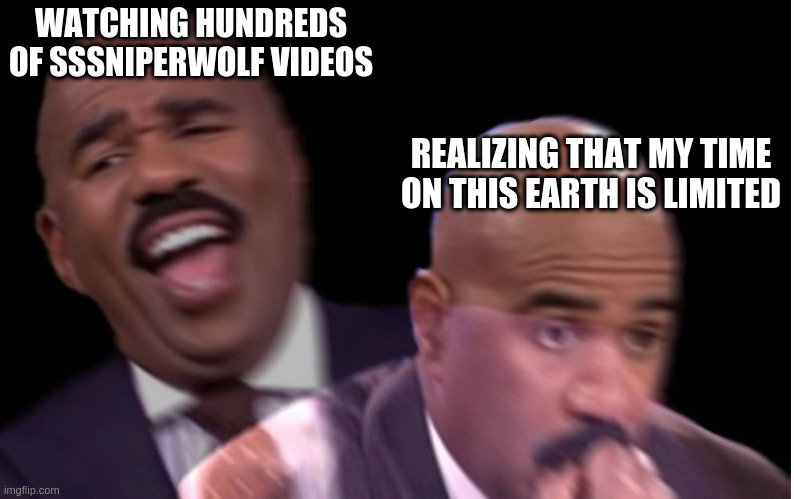 Time Well Spent? | WATCHING HUNDREDS OF SSSNIPERWOLF VIDEOS; REALIZING THAT MY TIME ON THIS EARTH IS LIMITED | image tagged in conflicted steve harvey | made w/ Imgflip meme maker