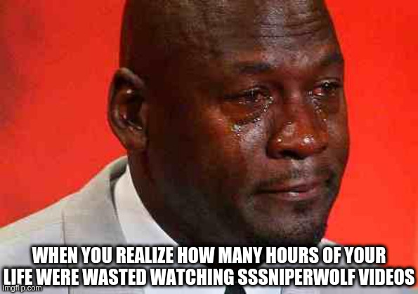 crying michael jordan | WHEN YOU REALIZE HOW MANY HOURS OF YOUR LIFE WERE WASTED WATCHING SSSNIPERWOLF VIDEOS | image tagged in crying michael jordan | made w/ Imgflip meme maker