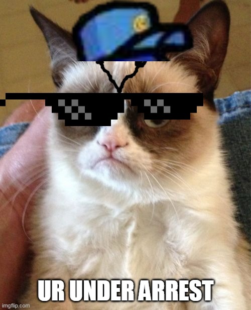 Police | UR UNDER ARREST | image tagged in memes,grumpy cat | made w/ Imgflip meme maker