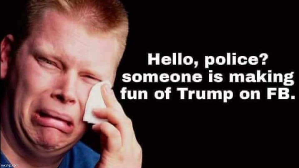 Hello, police? Someone is making fun of Trump on Facebook | image tagged in donald trump,facebook,police,making fun of trump | made w/ Imgflip meme maker