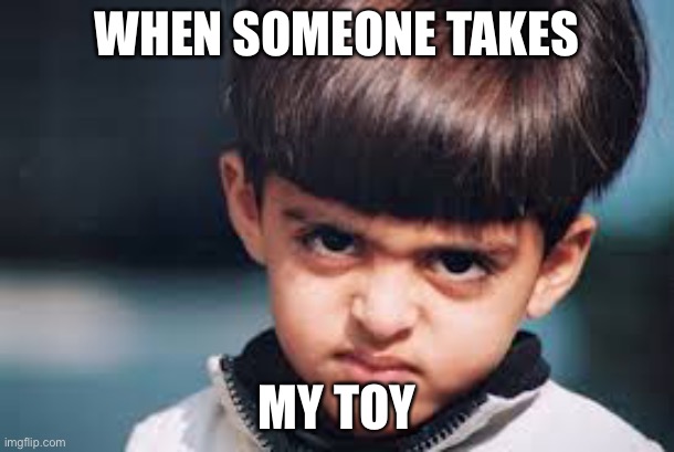 when someone takes my toy | WHEN SOMEONE TAKES; MY TOY | image tagged in when someone takes my toy | made w/ Imgflip meme maker