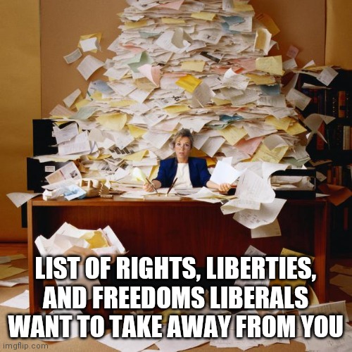 I am sure your life will be great under extremist liberalism right? | LIST OF RIGHTS, LIBERTIES, AND FREEDOMS LIBERALS WANT TO TAKE AWAY FROM YOU | image tagged in busy,liberal logic,banned,liberal hypocrisy | made w/ Imgflip meme maker