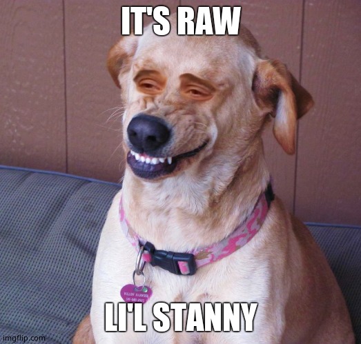 Dog smile | IT'S RAW LI'L STANNY | image tagged in dog smile | made w/ Imgflip meme maker