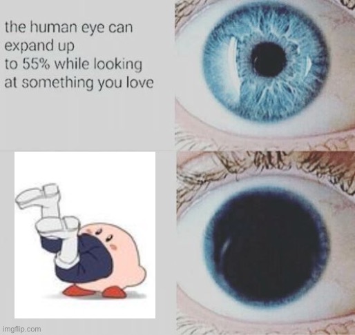 Eye pupil expand | image tagged in eye pupil expand | made w/ Imgflip meme maker