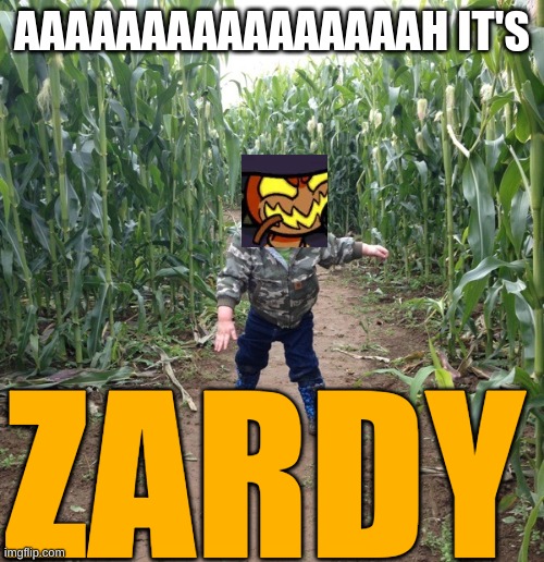 zardys maze be like | AAAAAAAAAAAAAAAAH IT'S; ZARDY | image tagged in corn maze kid | made w/ Imgflip meme maker