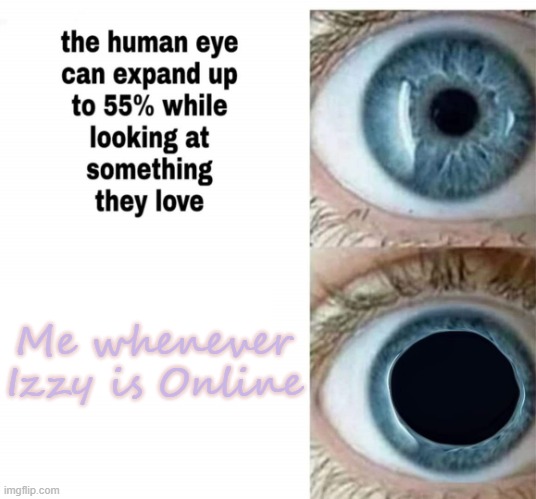 Made by Paige <3 | Me whenever Izzy is Online | image tagged in human eye | made w/ Imgflip meme maker