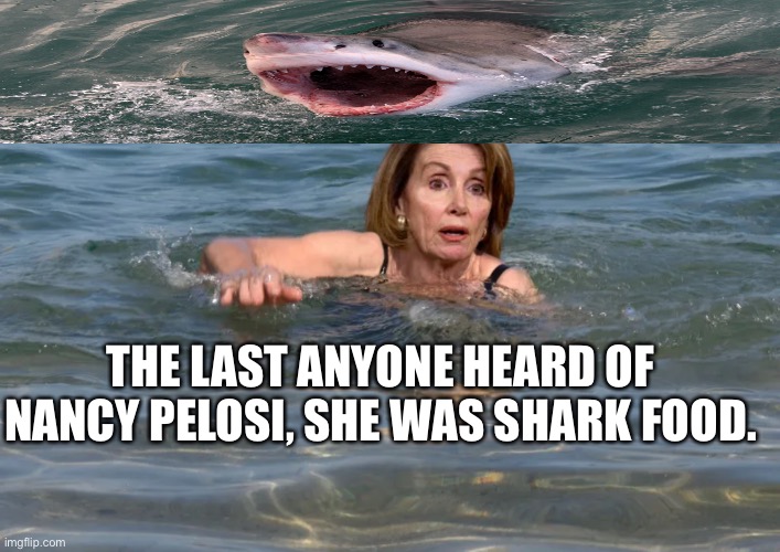 Nancy Pelosi |  THE LAST ANYONE HEARD OF NANCY PELOSI, SHE WAS SHARK FOOD. | image tagged in nancy pelosi | made w/ Imgflip meme maker