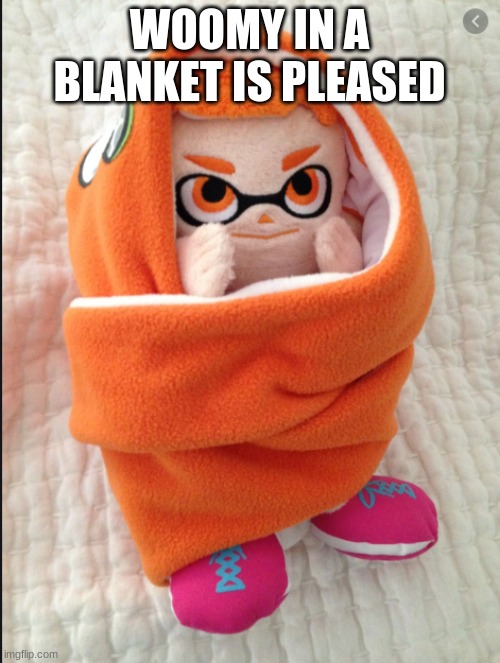 Woomy in a Blanket | WOOMY IN A BLANKET IS PLEASED | image tagged in woomy in a blanket | made w/ Imgflip meme maker