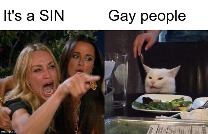 Woman Yelling At Cat Meme | It's a SIN; Gay people | image tagged in memes,woman yelling at cat | made w/ Imgflip meme maker