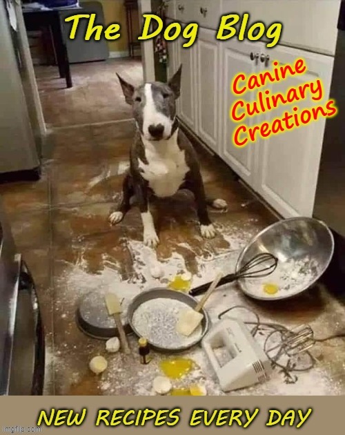 Canine Culinary Creations | image tagged in recipe | made w/ Imgflip meme maker