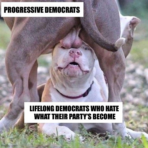 Why are they afraid to leave? | PROGRESSIVE DEMOCRATS; LIFELONG DEMOCRATS WHO HATE 
WHAT THEIR PARTY’S BECOME | image tagged in progress | made w/ Imgflip meme maker